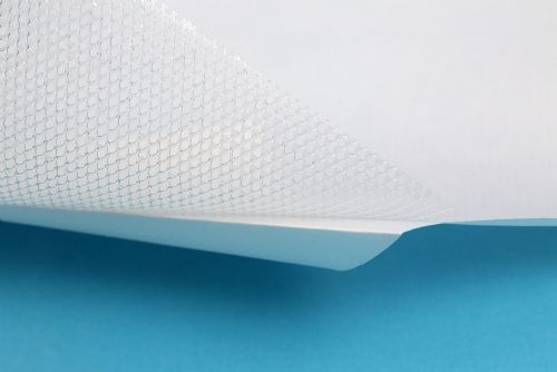 惠洋pa鞋材復(fù)合熱熱熔膠網(wǎng)膜